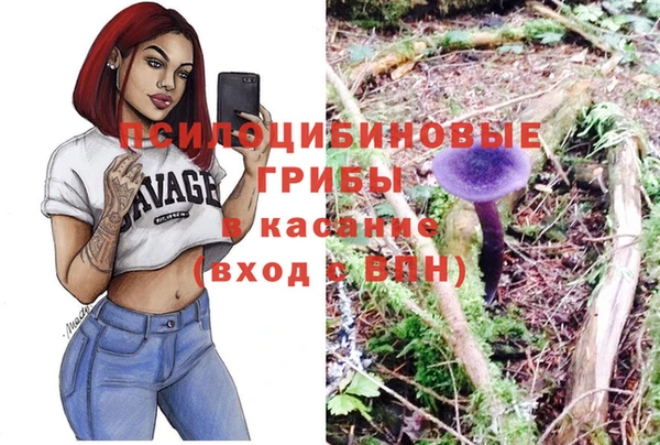 гидропоника Краснослободск