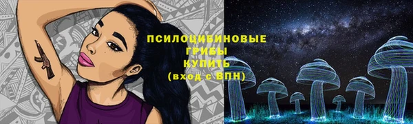 гидропоника Краснослободск