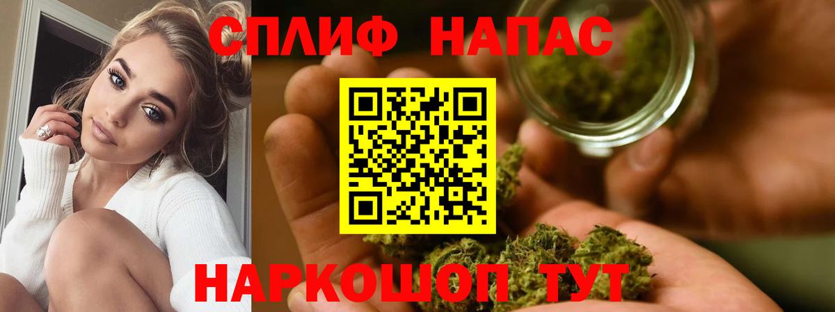 МАРИХУАНА планчик  Дербент  Конопля марихуана 